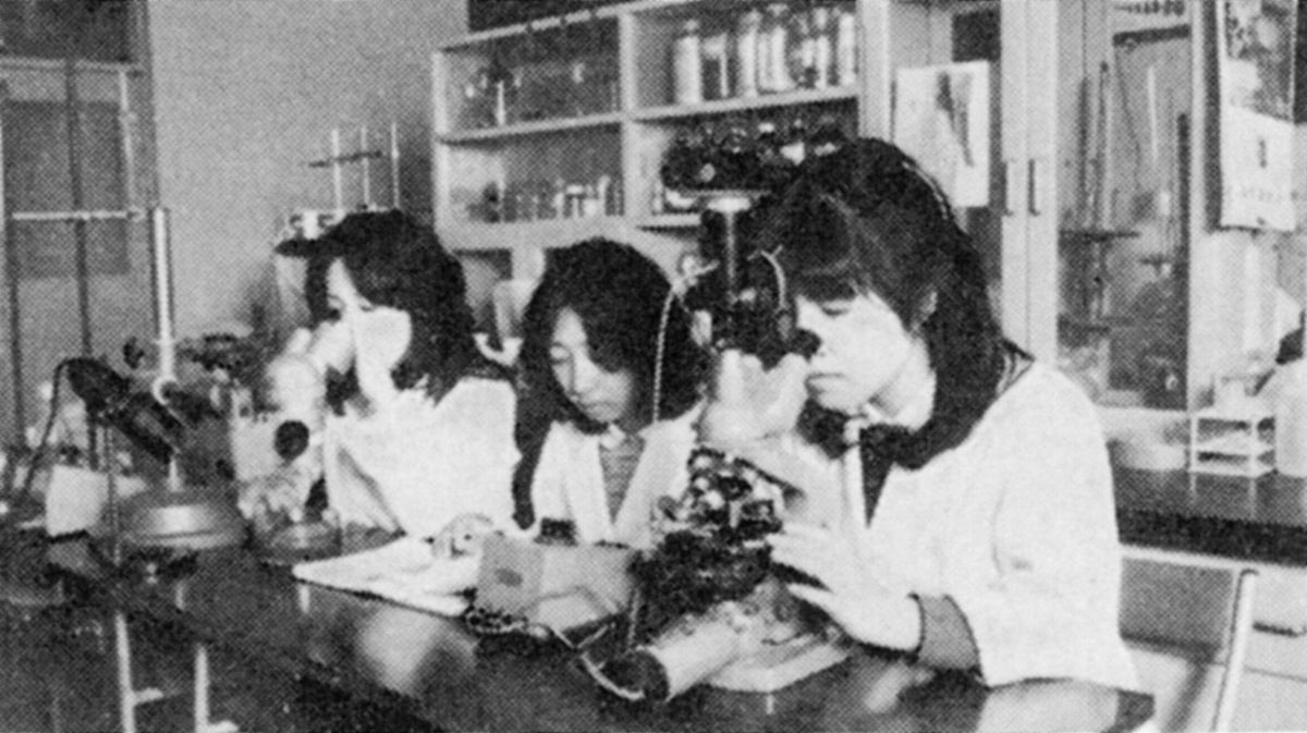 授業風景　生活科学科実験　昭和44年（1969）頃）