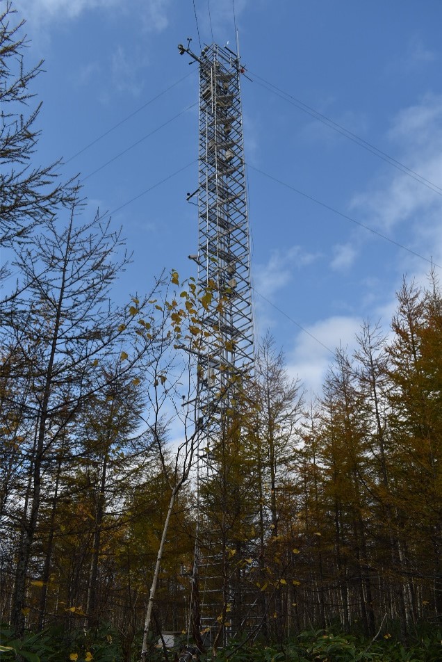 tower