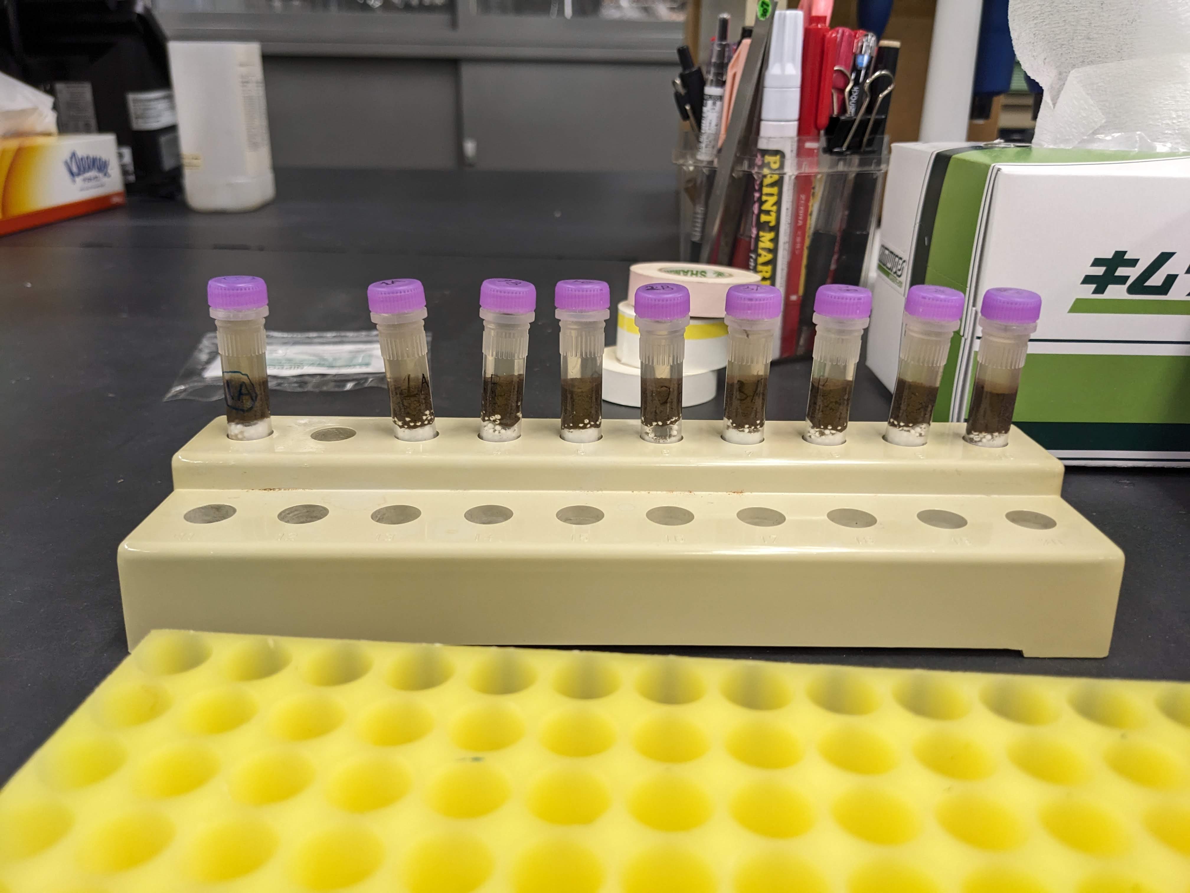 sample tubes