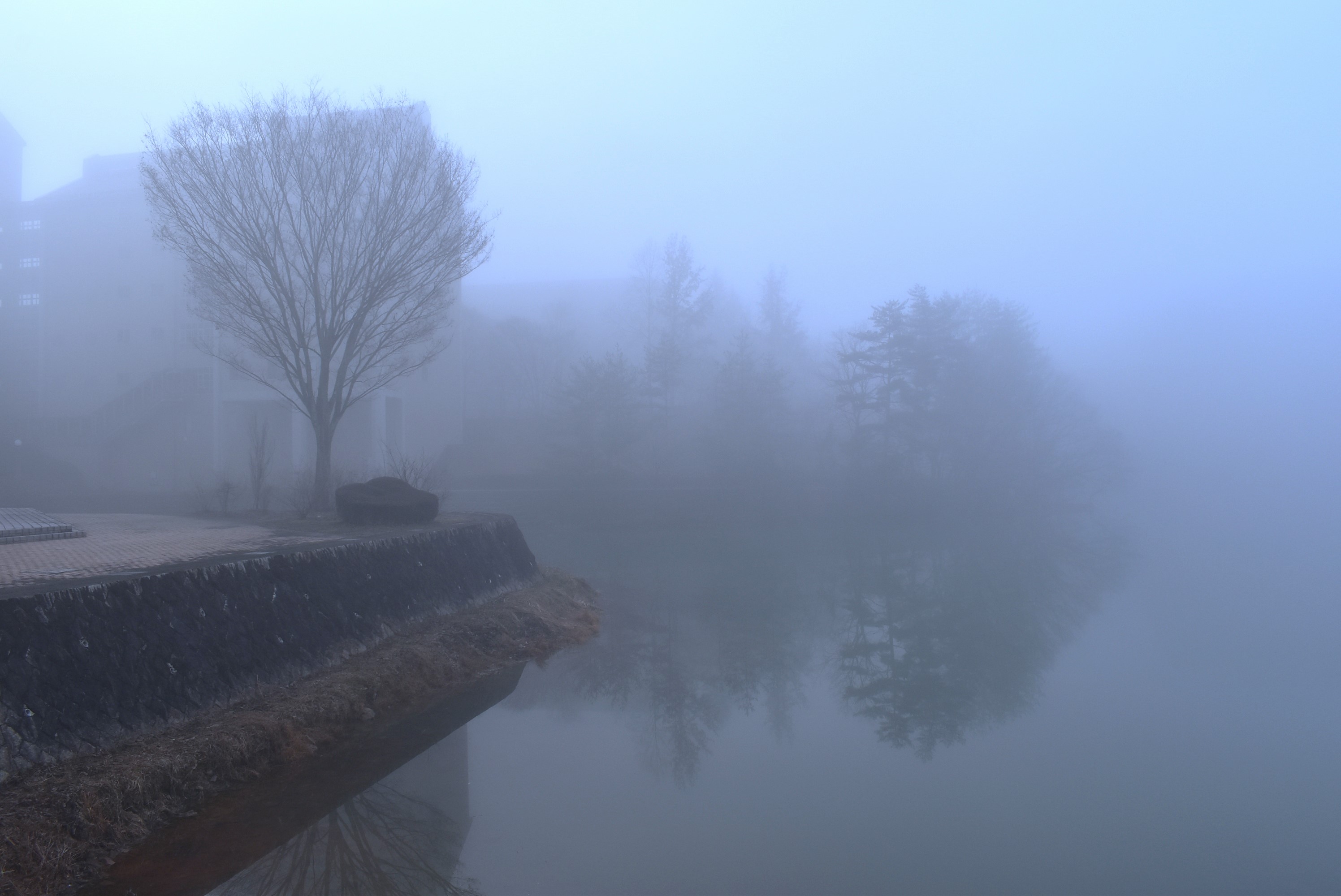 fog