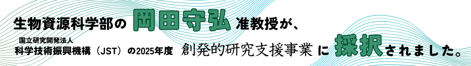 JST創発的研究支援事業に採択