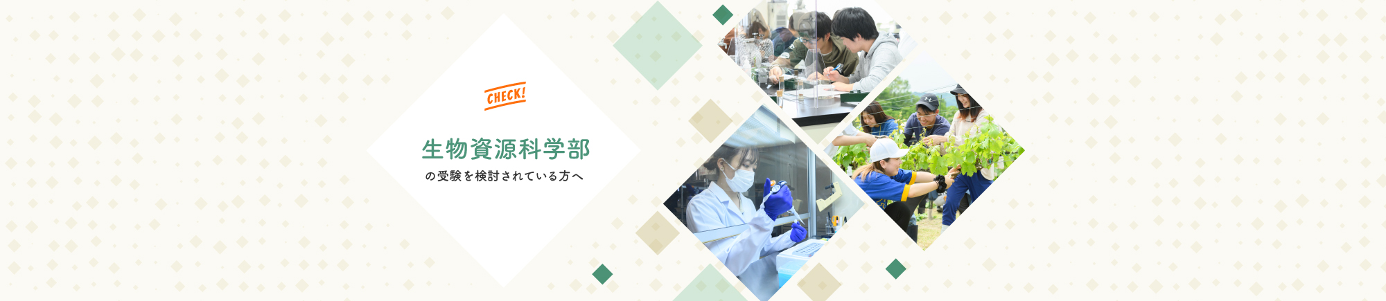 生物資源科学部の受験を検討している方はこちら