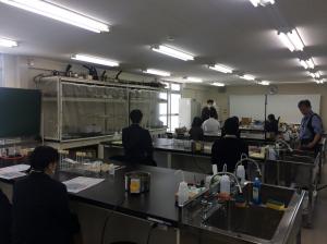 フィールド科学実習の様子