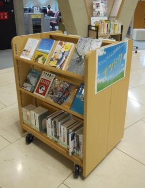 展示写真