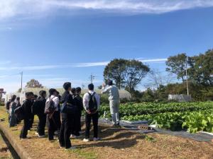 附属農場見学の様子2