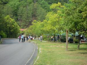 広島県立中央森林公園