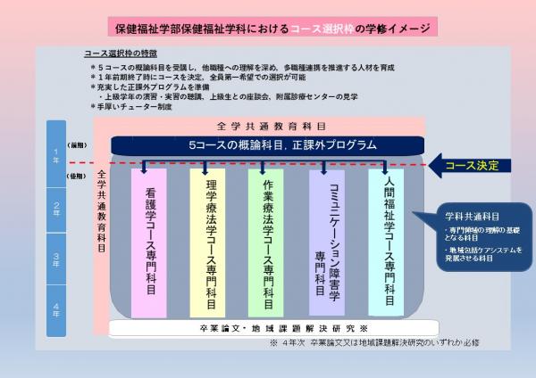 コース選択枠学年進行イメージ