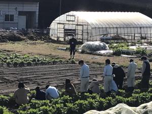 農業グループの活動風景です