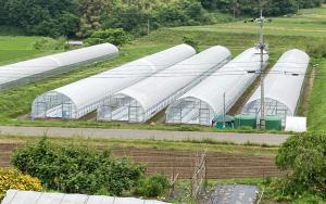 実証実験が行われる庄原市の農園