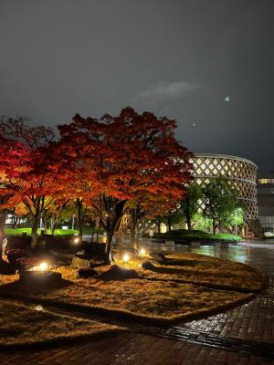 時雨後のキャンパス