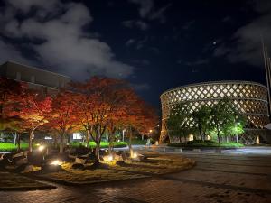 夜の紅葉