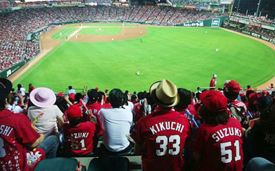 Carp