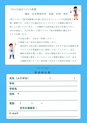 チラシ②