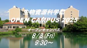 OC2025サムネイル