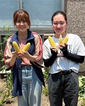 とうもろこし1-3