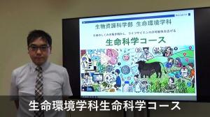 生命コース