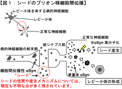 田口研究室１