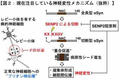 田口研究室2