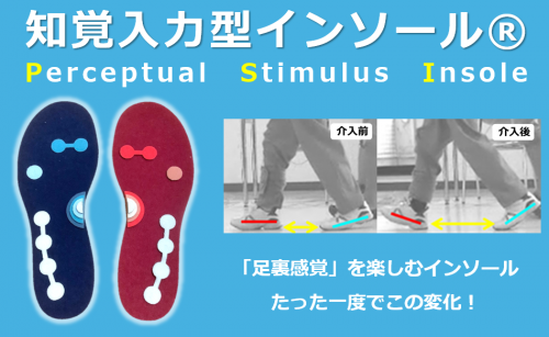 「知覚入力型インソール(PSI)」が第21回ひろしまグッドデザイン賞を受賞