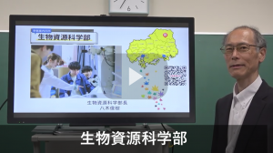 八木先生　学部紹介