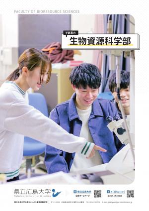 学部パンフレット表紙