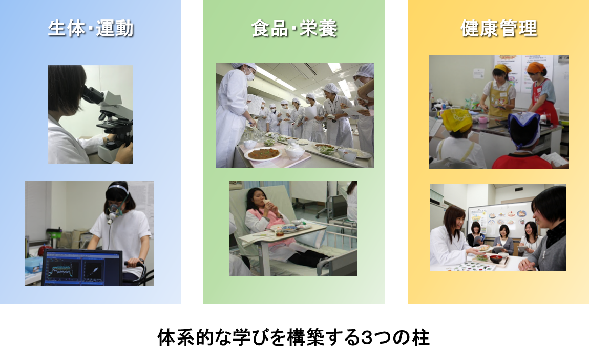 3つの柱