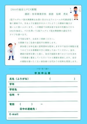 チラシ裏