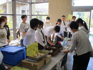 販売の様子2