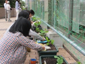 苗を植える学生