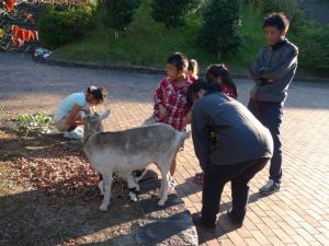 動物園