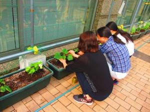 苗を植える学生
