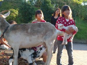 移動動物園