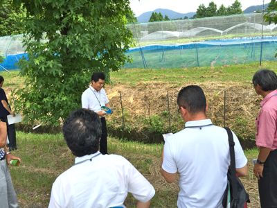 果樹園の見学