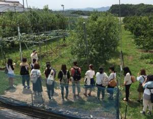 果樹園の見学