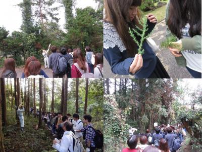 高平施設の庭園・森林の樹木の観察