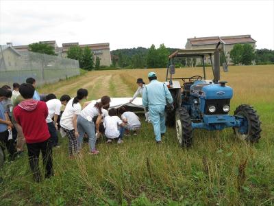 飼料刈り取りの実際