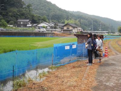 アイガモ農法の水田も見学できます。