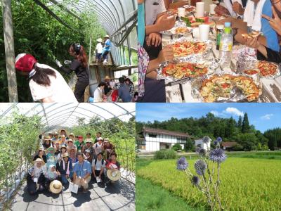 ３日目は三次のハーブ園でトマト収穫・調整、ハーブピザ作り、備北丘陵公園のトマト回廊、ひばの里で里山体験。