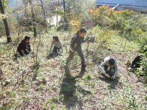 丘陵公園内へ学生がヒゴタイを植栽している様子