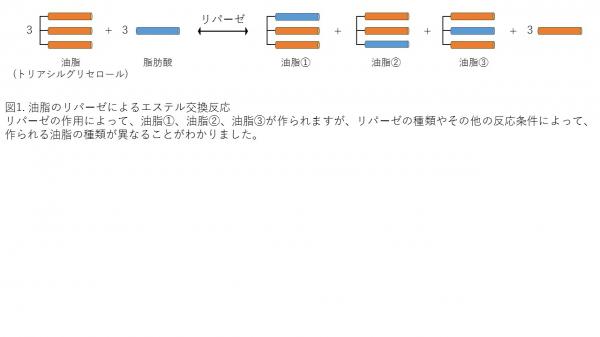 山本図1