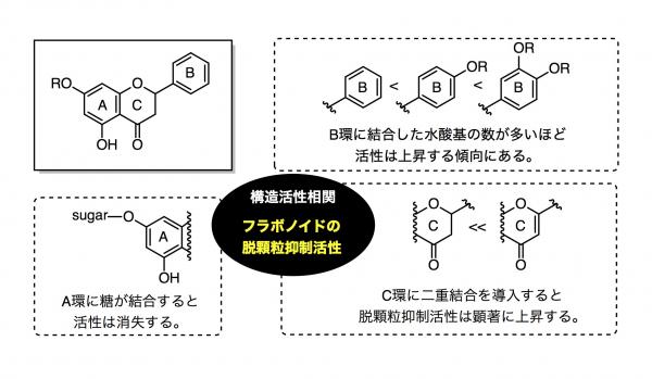 フラボノイド