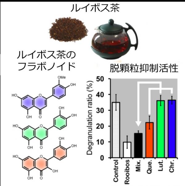 Morishita et al. Figure