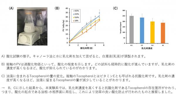 山本論文図