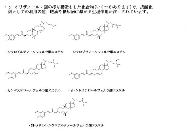 γ‐オリザノール