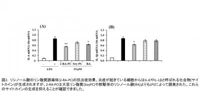 Fig.2