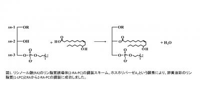 Fig.1