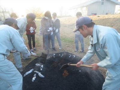 サツマイモの焼き芋　投入