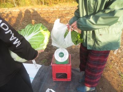 野菜重量測定