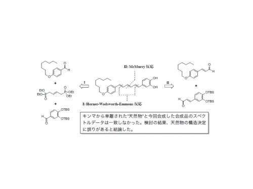 論文の図