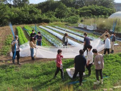 防虫ネット除去